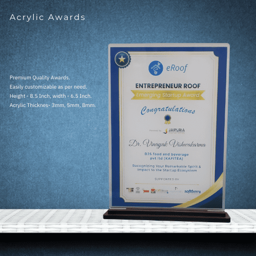 Acrylic Award - Entrepreneur Roof Award 6.5Inch