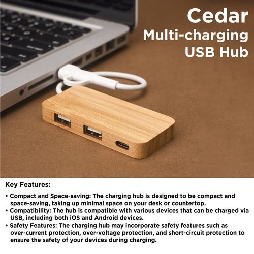 Wangari Cedar multi-charging USB Hub USB1003