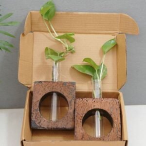 2 Bark Planters – Set of 2 for Stylish Indoor & Outdoor Gardening