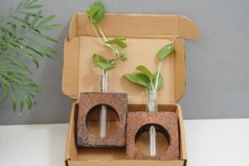 2 Bark Planters – Set of 2 for Stylish Indoor & Outdoor Gardening