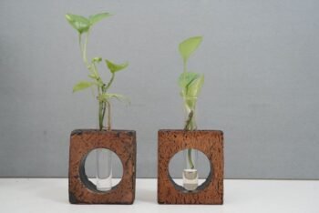 2 Bark Planters – Set of 2 for Stylish Indoor & Outdoor Gardening