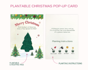 Plantable Christmas Pop Up Card