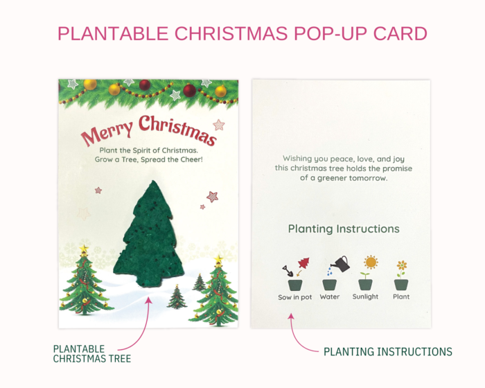 Plantable Christmas Pop Up Card
