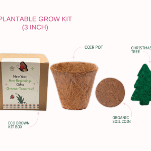 Plantable Grow Kit – Eco-Friendly Seed Growing Kit for Sustainable Living