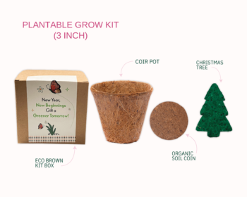Plantable Grow Kit – Eco-Friendly Seed Growing Kit for Sustainable Living