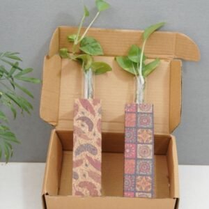 Printed Table Top Planters – Stylish Indoor Plant Display -1