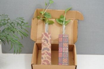 Printed Table Top Planters – Stylish Indoor...