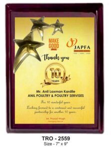 Celebrating 10-Year Partnerships Plaque – Recognition for Long-Term Commitment & Loyalty