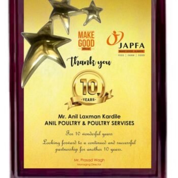 Celebrating 10-Year Partnerships Plaque – Recognition for...