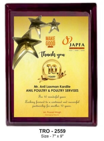 Celebrating 10-Year Partnerships Plaque – Recognition for...