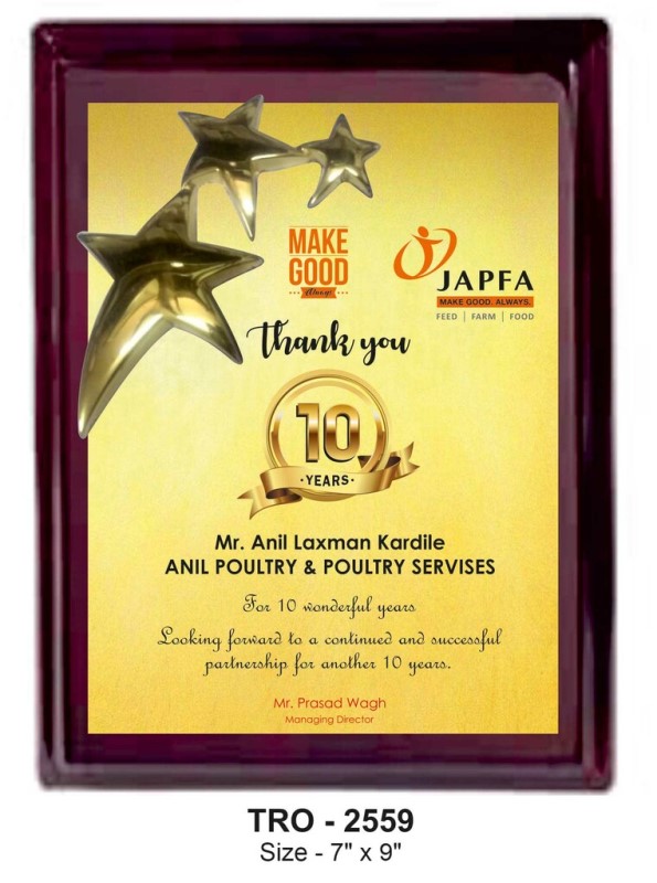 Celebrating 10-Year Partnerships Plaque – Recognition for Long-Term Commitment & Loyalty