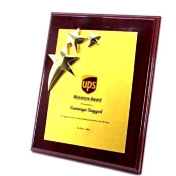 Celebrating 10-Year Partnerships Plaque – Recognition for...