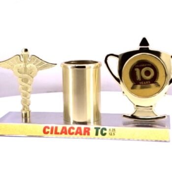 Celebrating Milestones in Healthcare – Functional Desk...