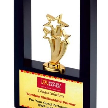 Clustered Star Frame – Award for Team...