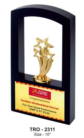 Clustered Star Frame – Award for Team...