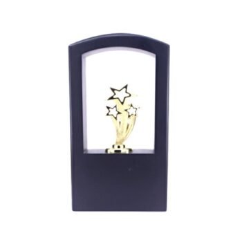 Clustered Star Frame – Award for Team...