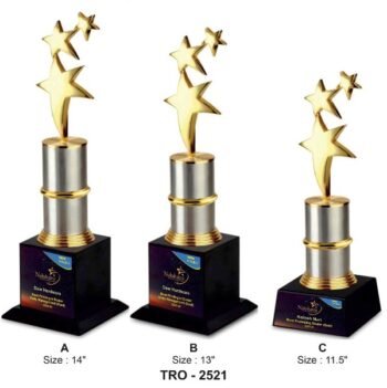 Corporate 3 Star Trophy – Celebrate Excellence...