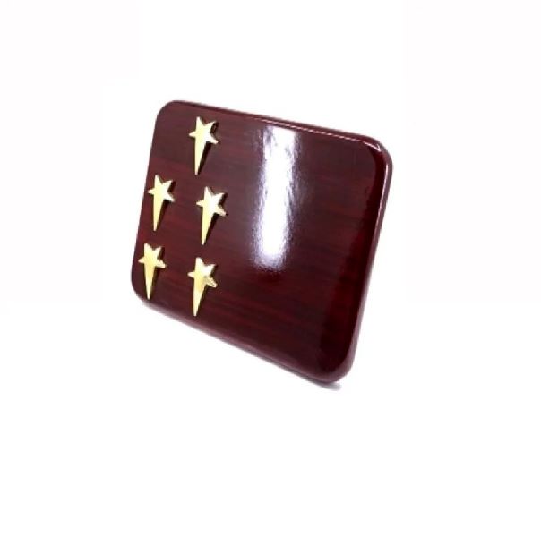 Corporate 5 Star Plaque