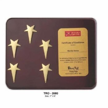Corporate 5 Star Plaque