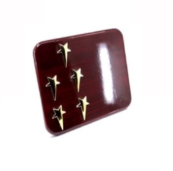 Corporate 5 Star Plaque