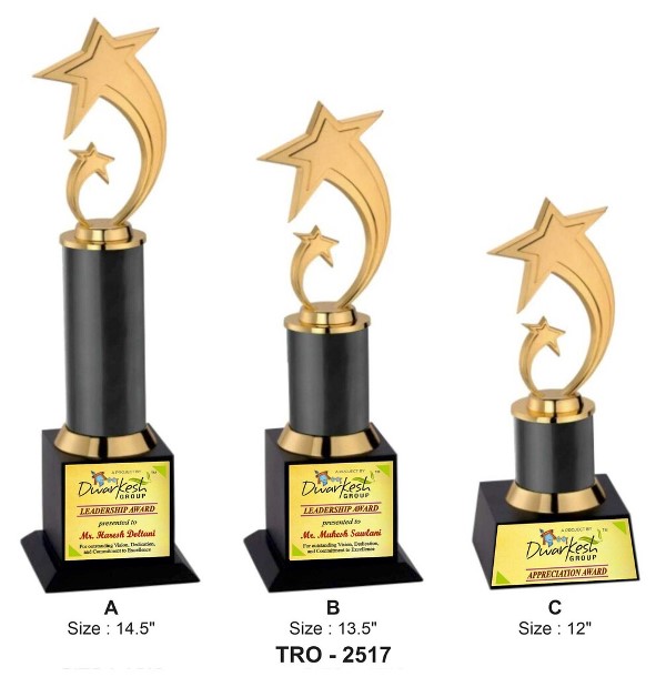 Corporate Shining Star Trophy