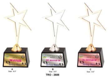 Corporate Star Trophy – Shine a Spotlight...