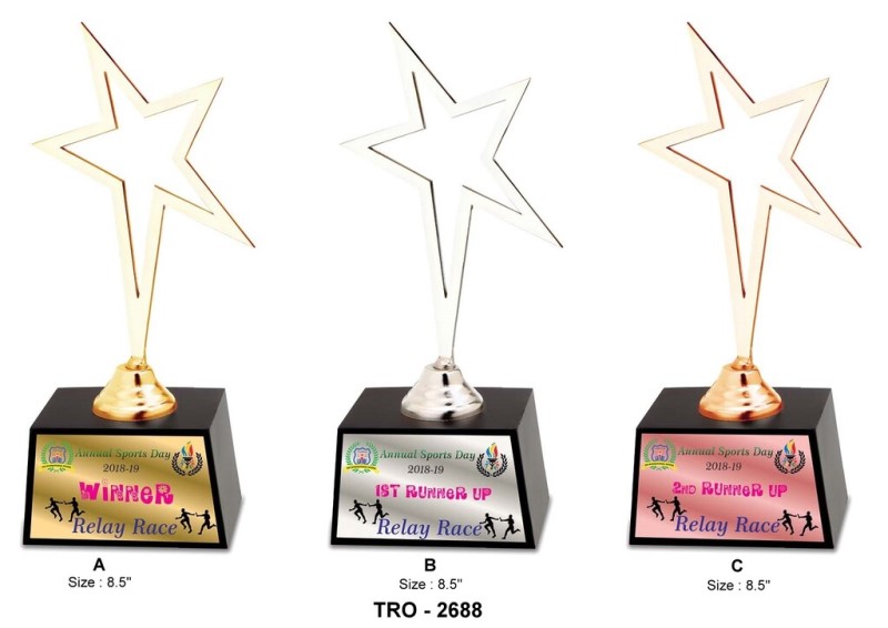 Corporate Star Trophy