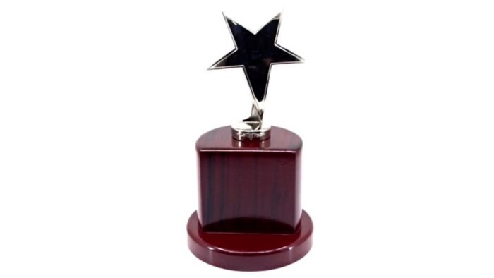 Corporate Star Trophy