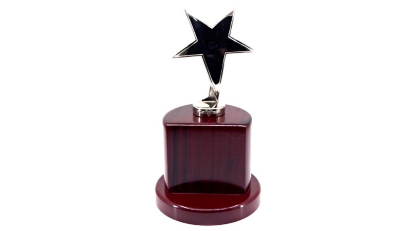 Corporate Star Trophy