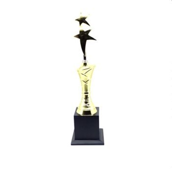 Corporate Star Trophy – Shine a Spotlight...