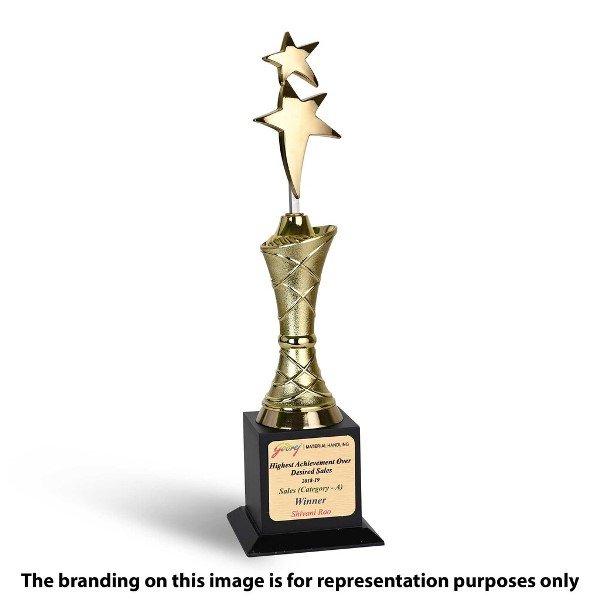 Corporate Star Trophy