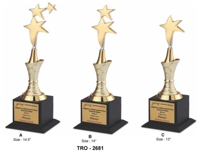 Corporate Star Trophy