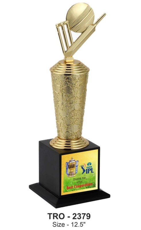 Cricket Theme Trophy with Fibre Pipe