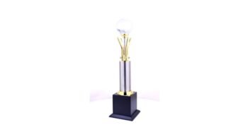 Crystal Globe Cricket Trophy – Celebrate Corporate...
