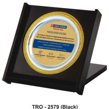 Digital Transformation Silver – Modern Recognition for...