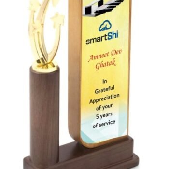 Eco Friendly Steam Beech Pillar 4 Star...