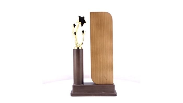 Eco Friendly Steam Beech Pillar 4 Star Trophy