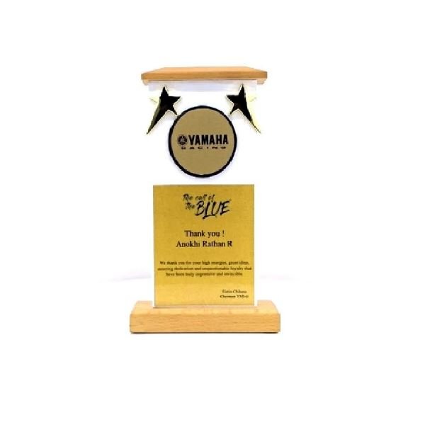 Economical Wooden Trophy with Star