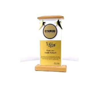Economical Wooden Trophy with Star – Elegant...