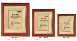 Gold-Tone Appreciation Plaque – Premium Dealer & Club Recognition Award