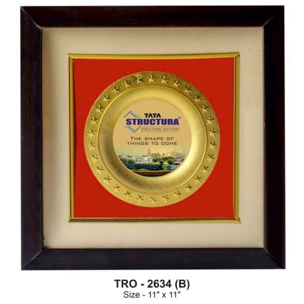 Golden Silver Wall Frame – Premium Commemorative & Recognition Display - 2