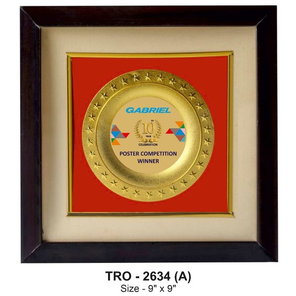 Golden Silver Wall Frame – Premium Commemorative & Recognition Display