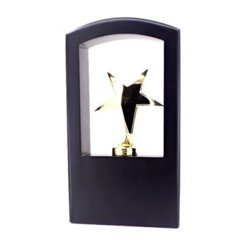 Golden Star Recognition Trophy – Celebrating Achievement...