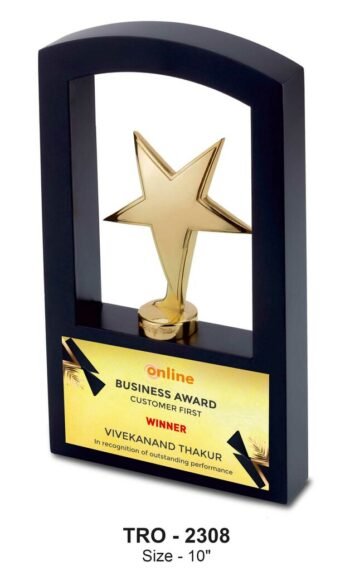 Golden Star Recognition Trophy – Celebrating Achievement...