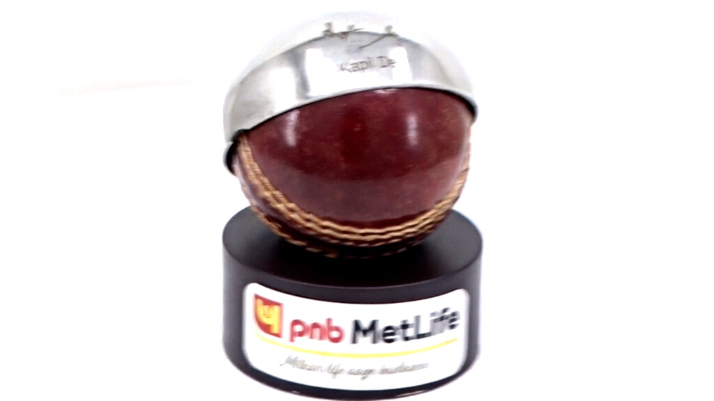 Half Metal Cricket Ball Memento