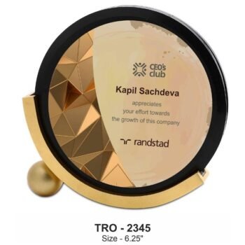 Modern Circle with Luxe Touch Trophy –...