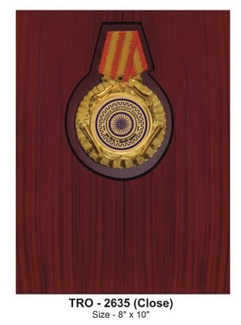 Open Display Service Award with Medal –...