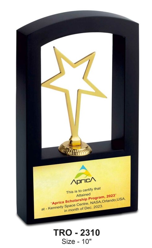 Outline Star Framed Trophy