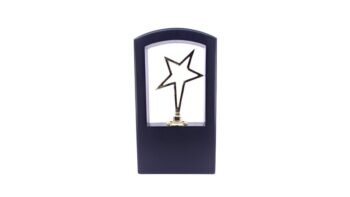 Outline Star Framed Trophy – Recognizing Focus,...