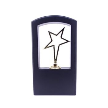 Outline Star Framed Trophy – Recognizing Focus, Brilliance & Achievement